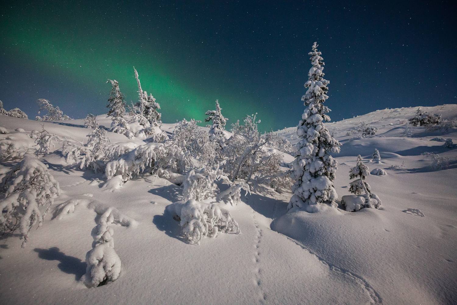 , Символоков Олег