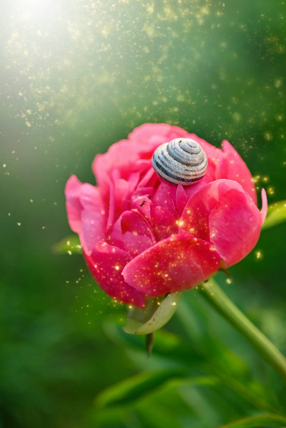 , Калёв Сергей