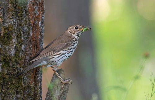 По хозяйству