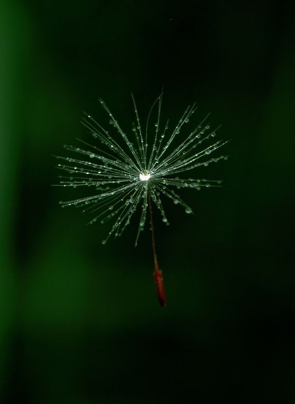 Невесомость фото превью