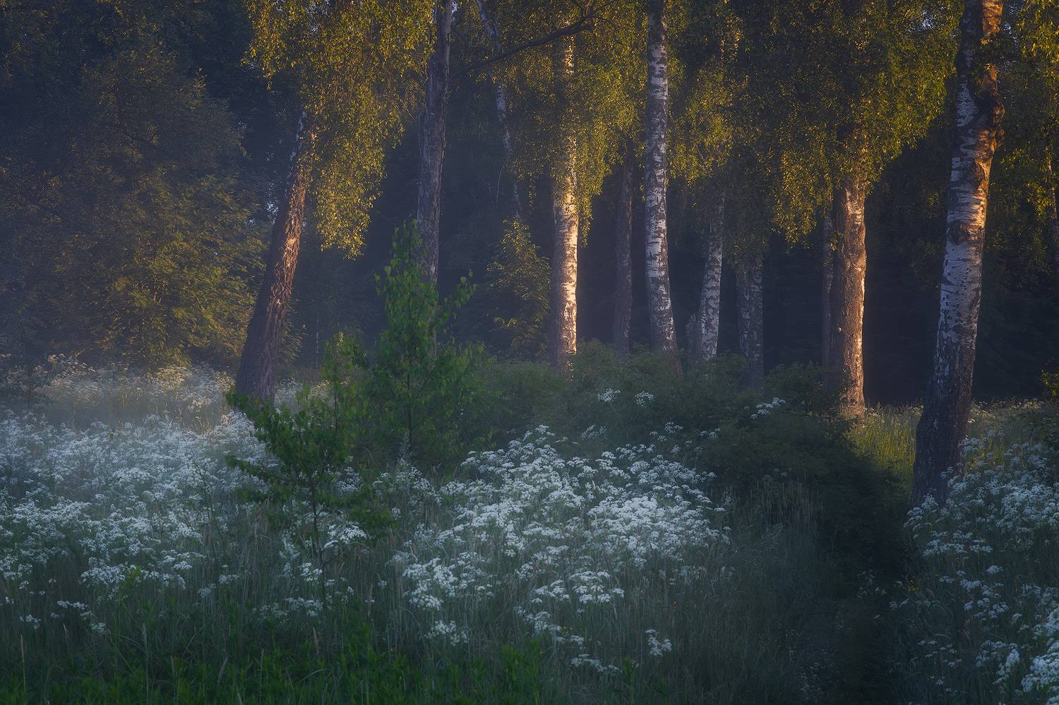 , Костенко Александр