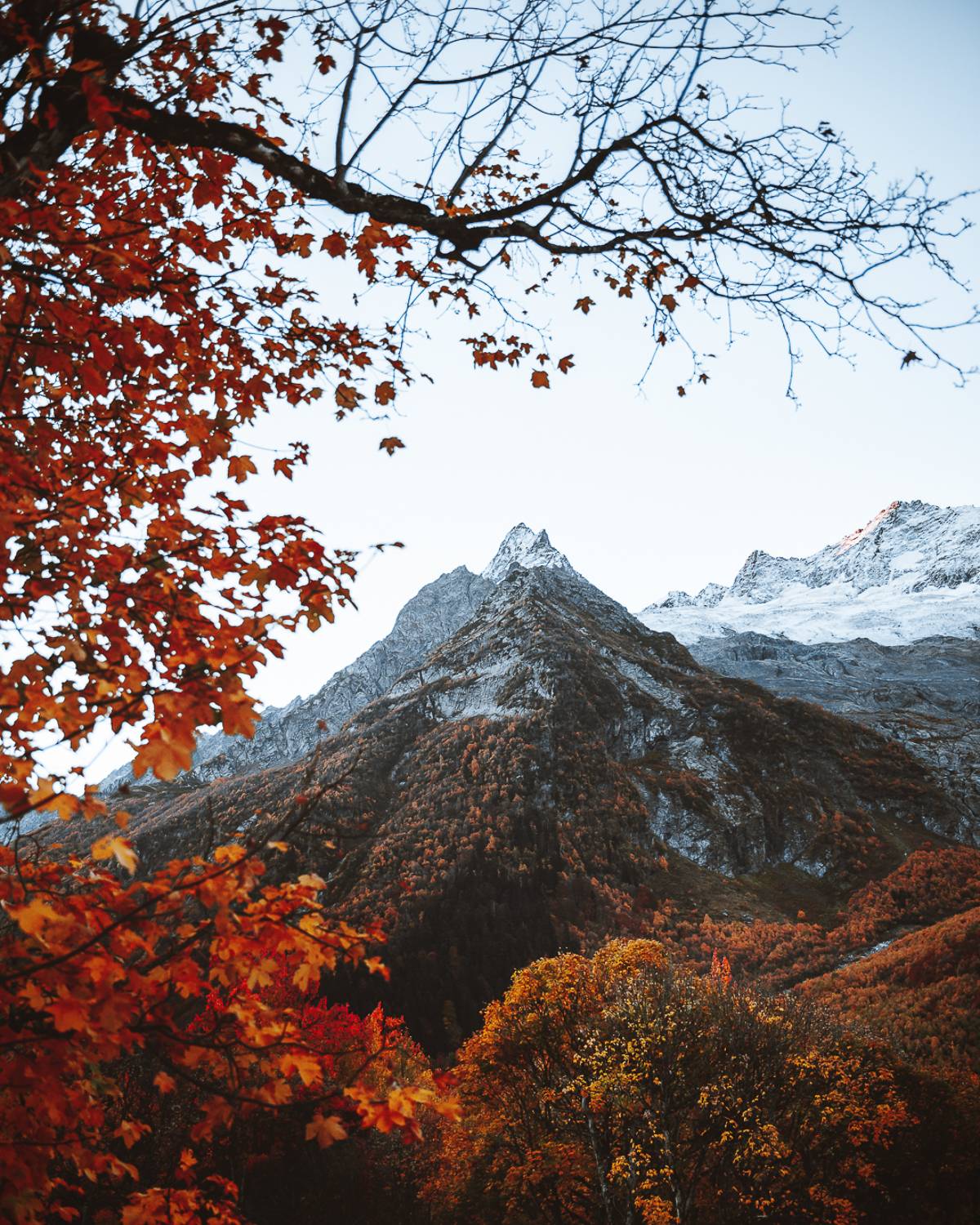 , Слава Азаров