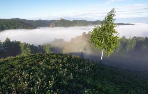 Утренний туман