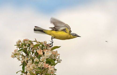 Тоже охота!