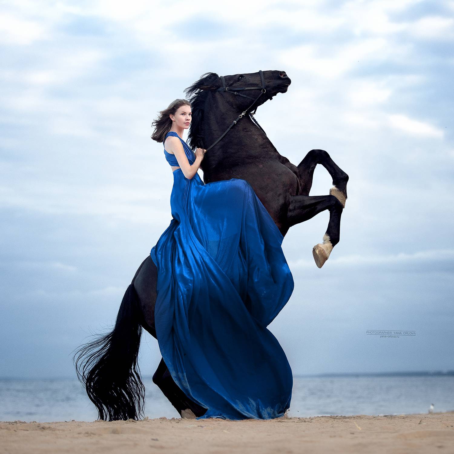 horse, horses, лошадь, конь, конныйфотограф, кэнон, canon, конный фотограф Яна Орлова,  7020028, лошади, фотографияслошадью, фотосессияслошадью, фотосессиислошадьми, коннаяфотография, pferd, horsephotographer, женский портрет, девушка , Яна Орлова