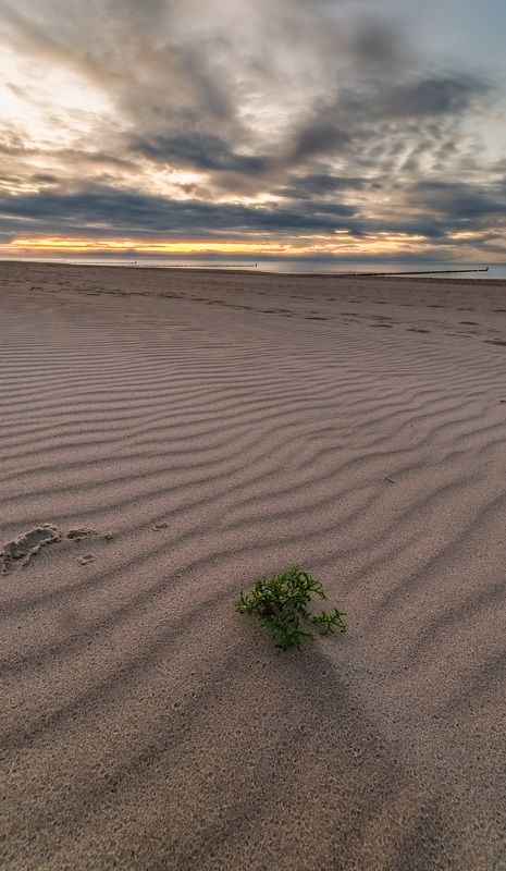 море, пляж, sea, baltic sea, балтийское море, польша, polska, poland, хельская коса, beach  фото превью