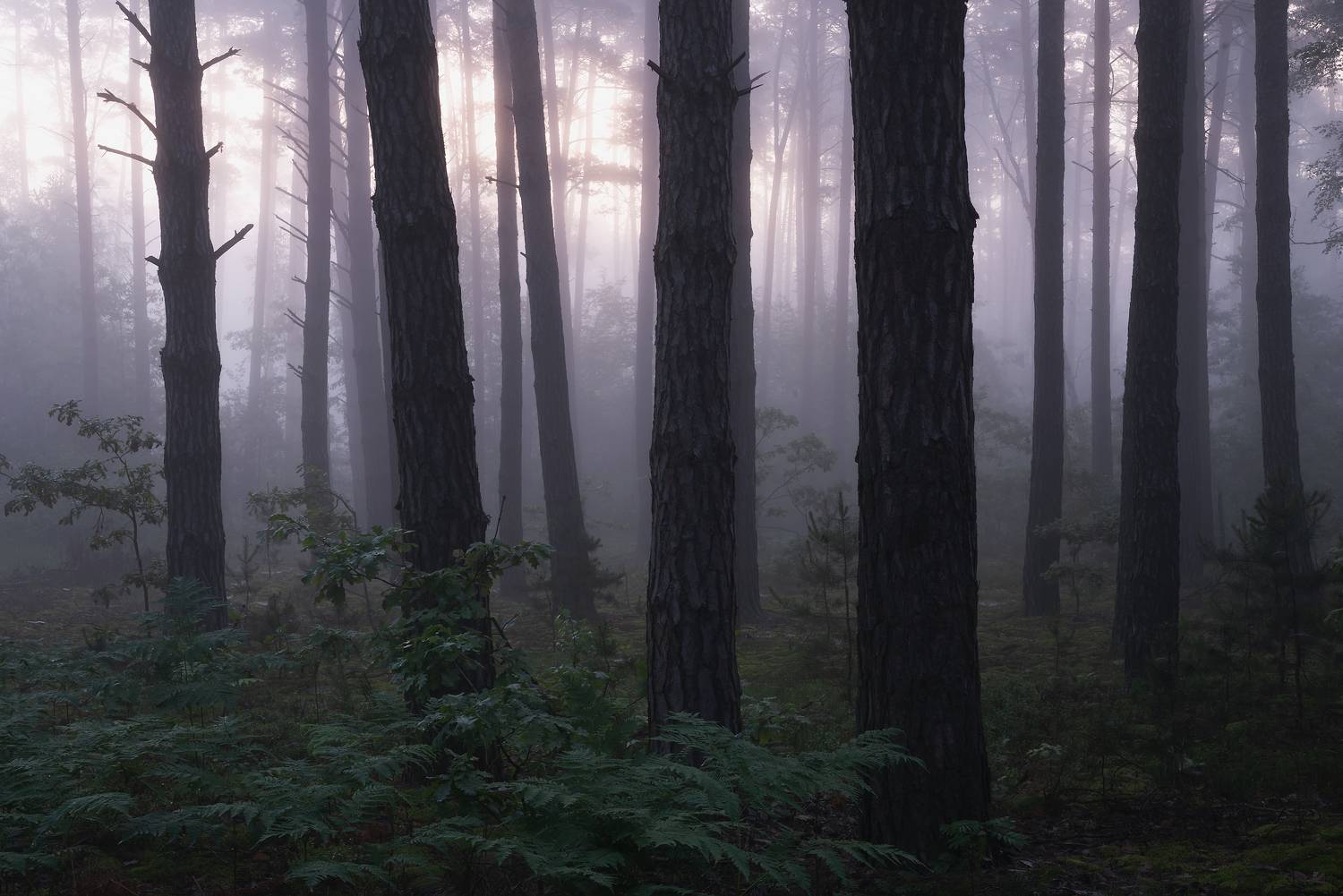 , Захаров Дмитрий