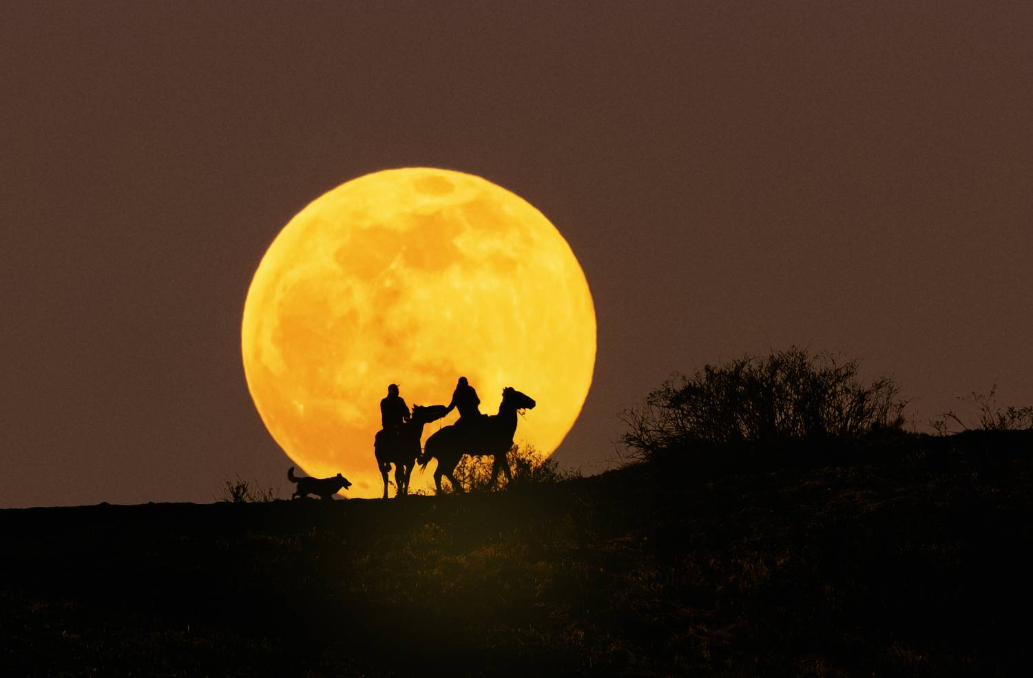 луна ,кавказ,горы,пейзаж,кисловодск, Natalia Bolotenkova