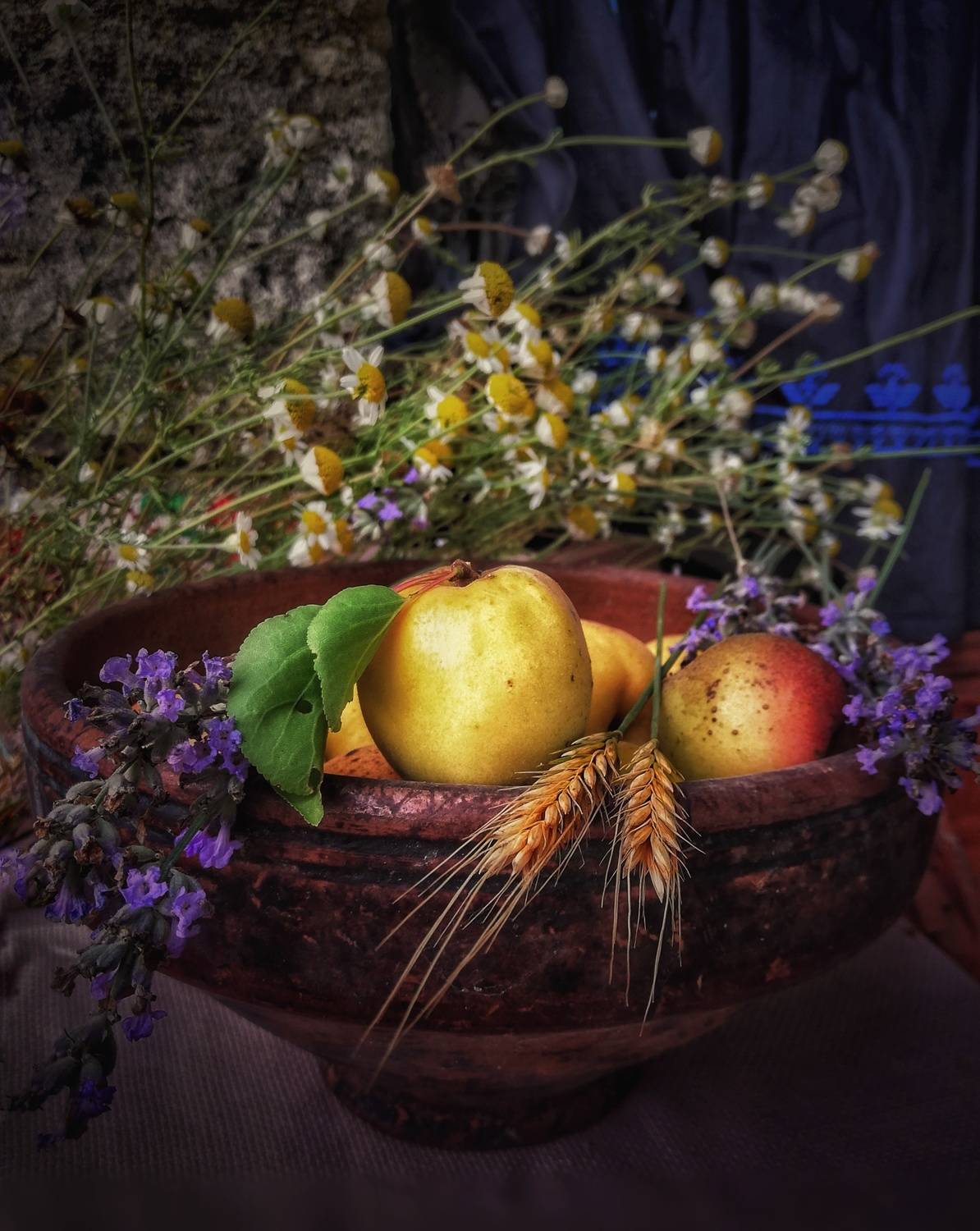 , Юлияна Стоянова