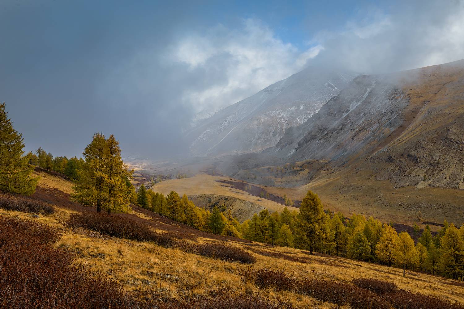 фототур фототур_на_алтай фототур_по _алтаю фототурна алтай фототурпоалтаю фототур_алтай фототур_алтай алтай, Эдуард Кутыгин