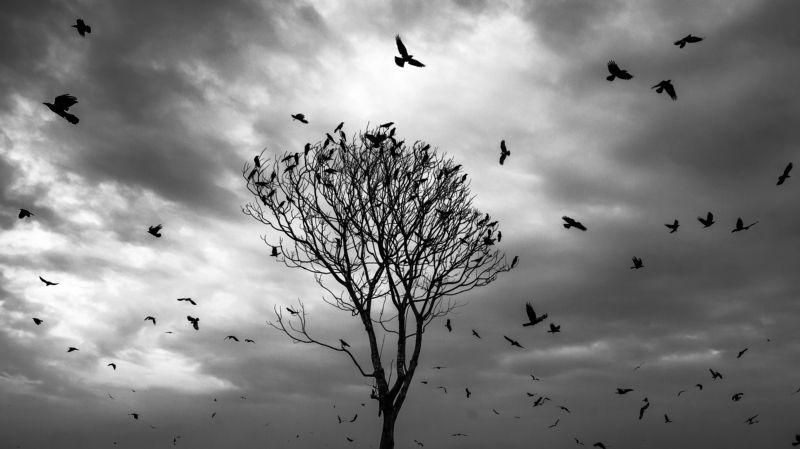 Alone фото превью