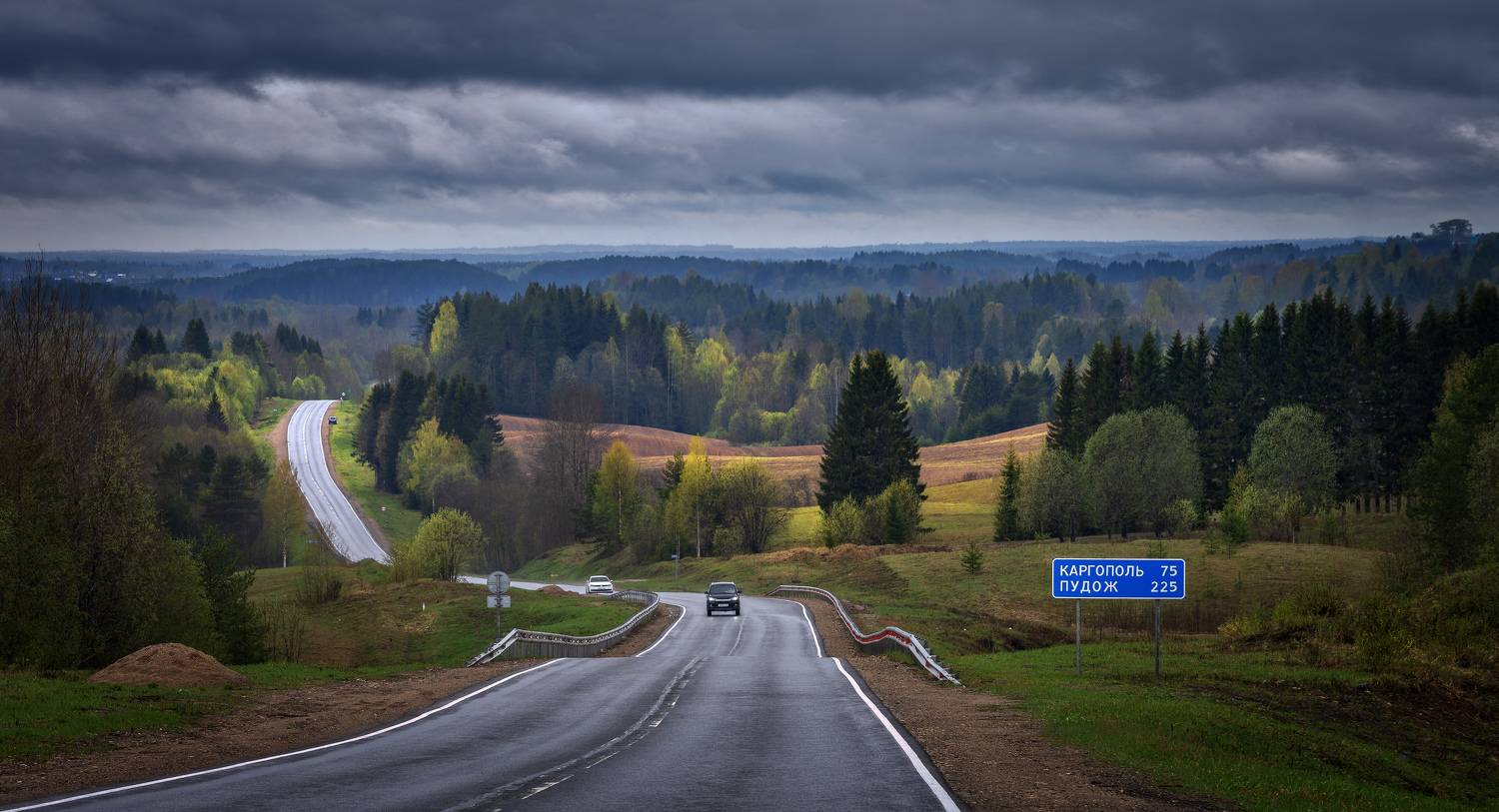 каргополь, няндома, архангельская область, ландшафт, май, Зверев Олег