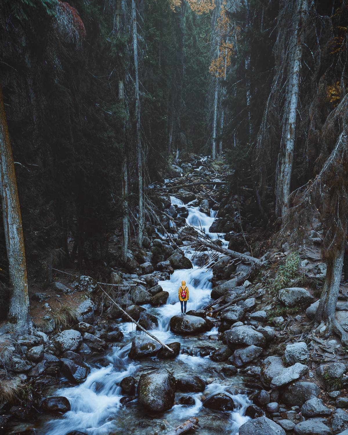 , Слава Азаров