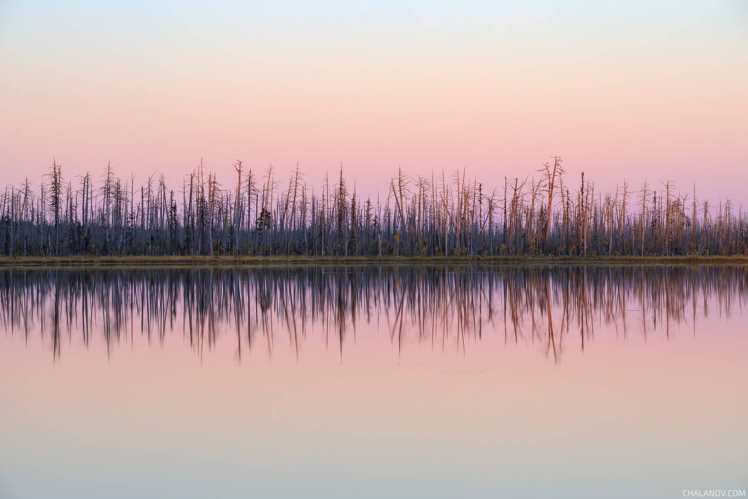 пейзаж, природа, закат, север, озеро, болото, лес, Иван Чаланов