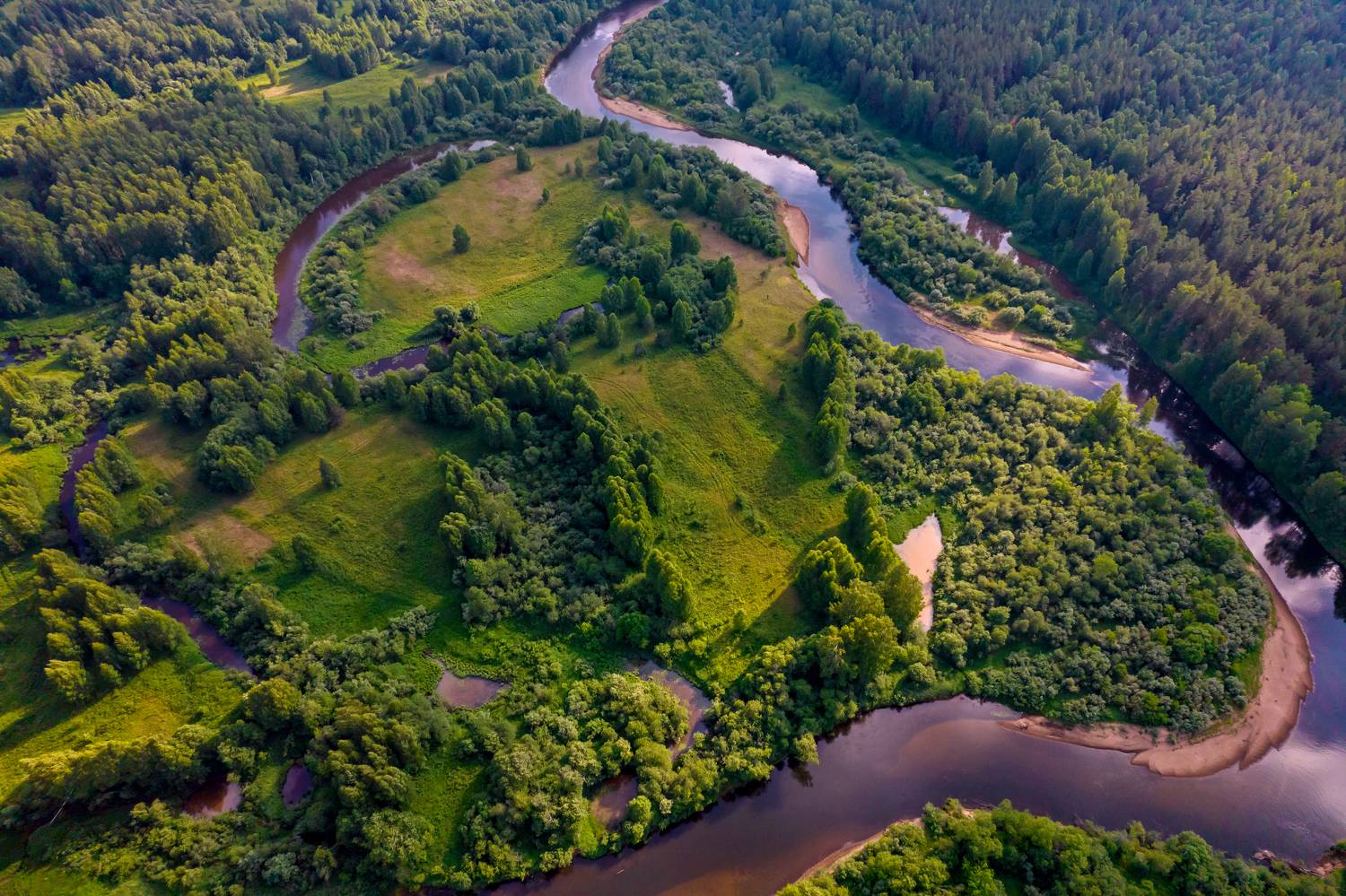колпь, природа, река, Подосинников Максим