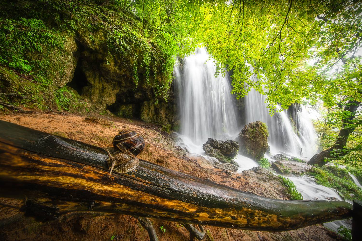 , Mariyana Atanasova - Lucero