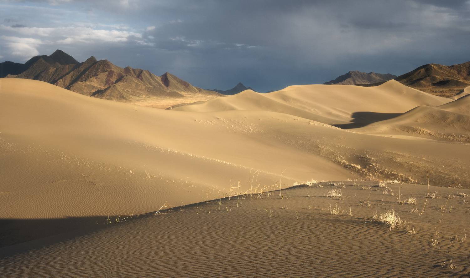 , Лещёнок Александр