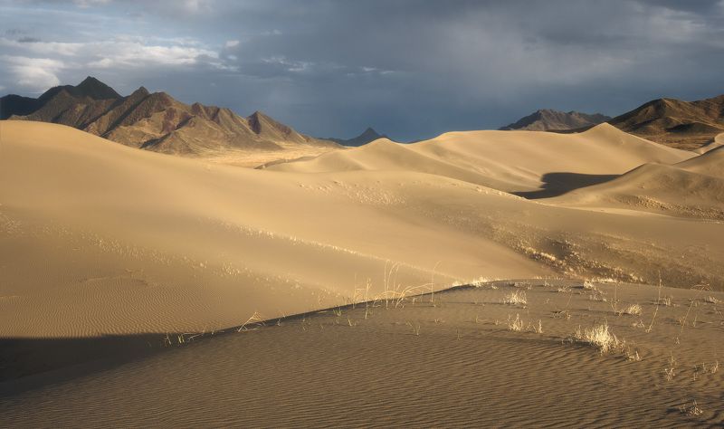 Золотистый вечер фото превью