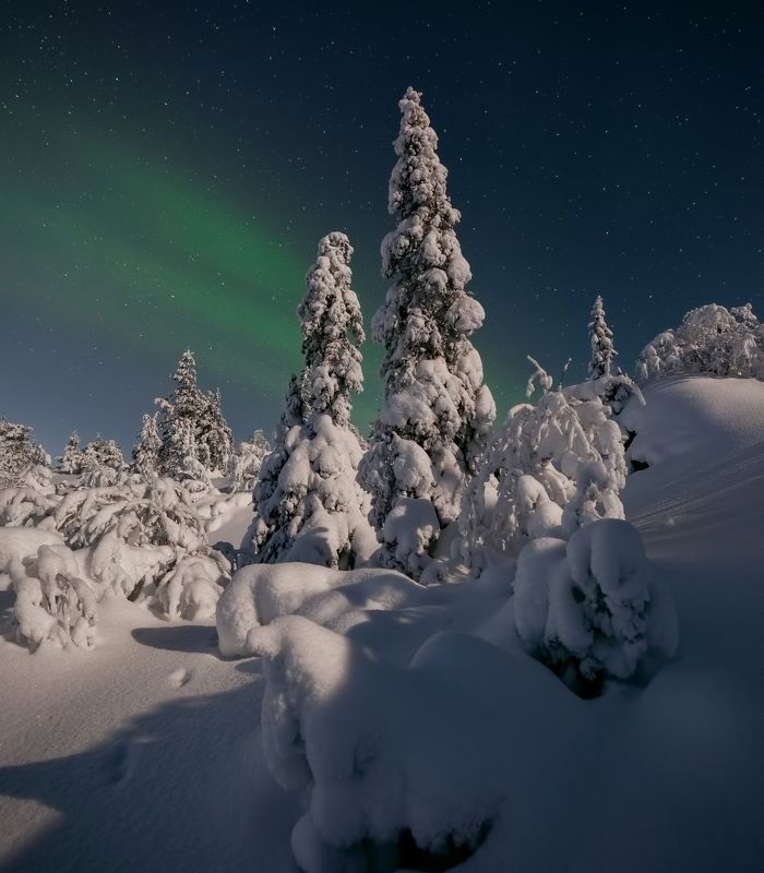 Звёздная ночь фото превью