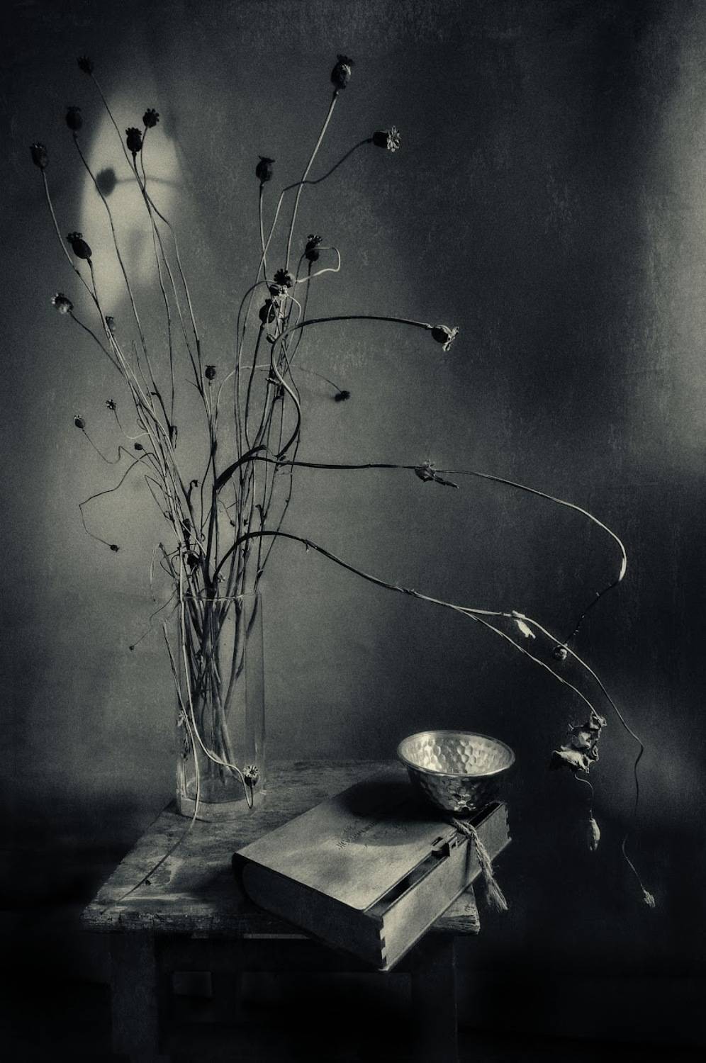 , Ирина Данилова