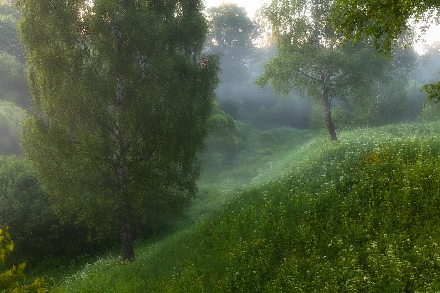 , Костенко Александр