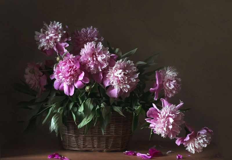 *** фото превью