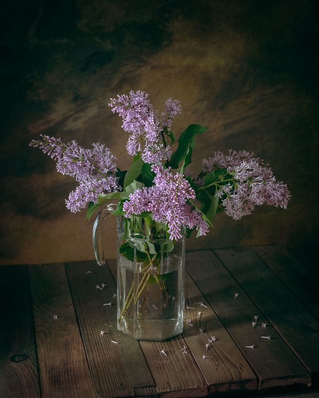 Сирень фото превью