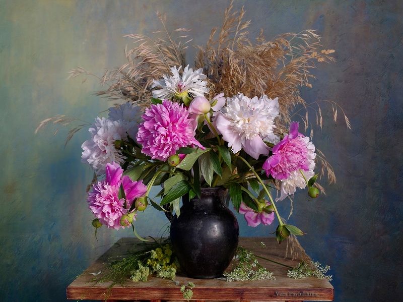 Пионы фото превью