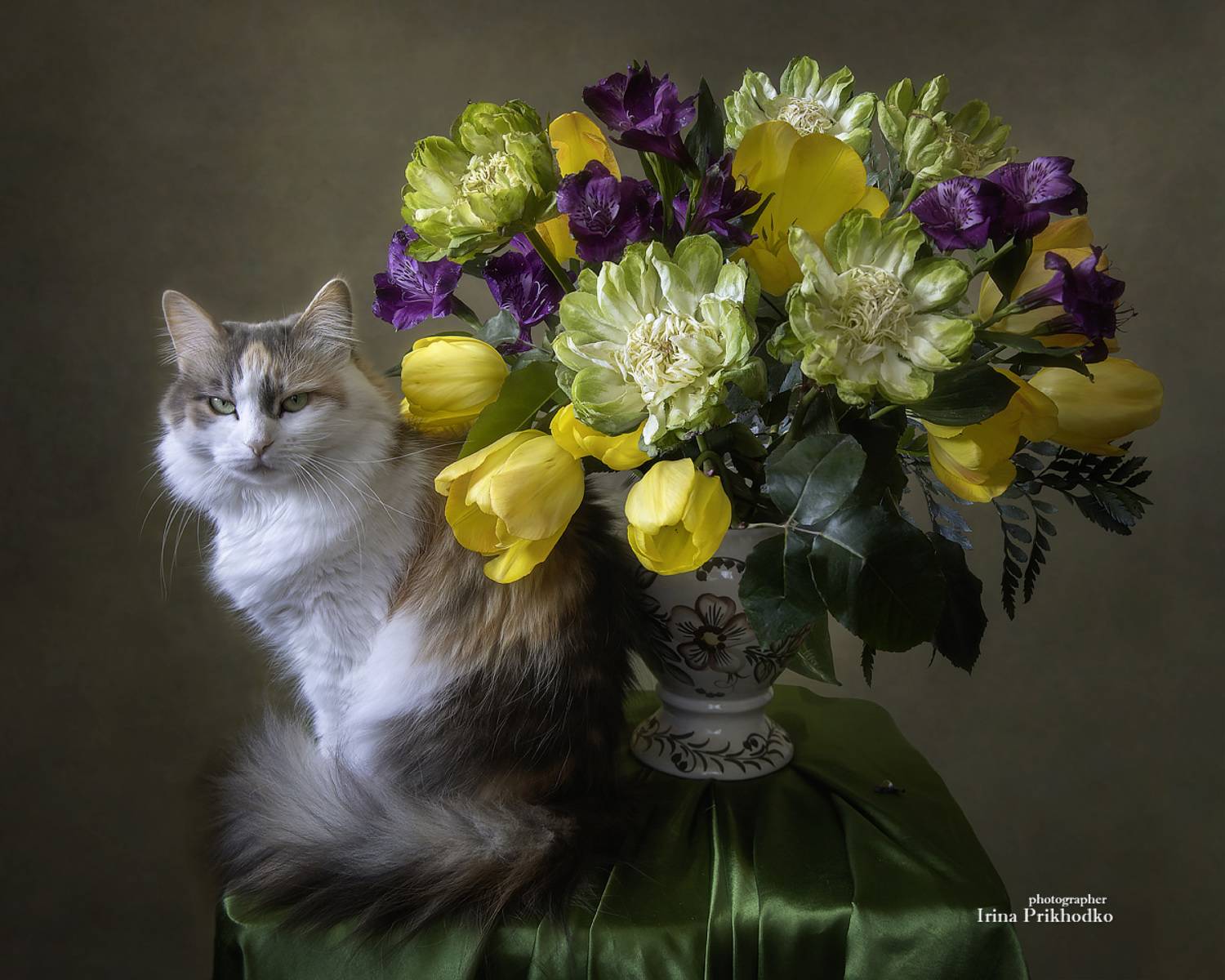 натюрморт, цветы. букеты, домашние животные, кошки, питомцы, Приходько Ирина
