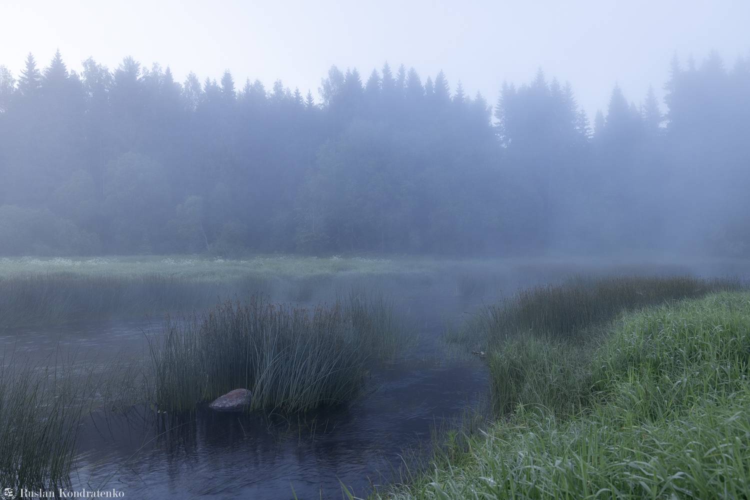 лемовжа, рассвет, туман, Кондратенко Руслан