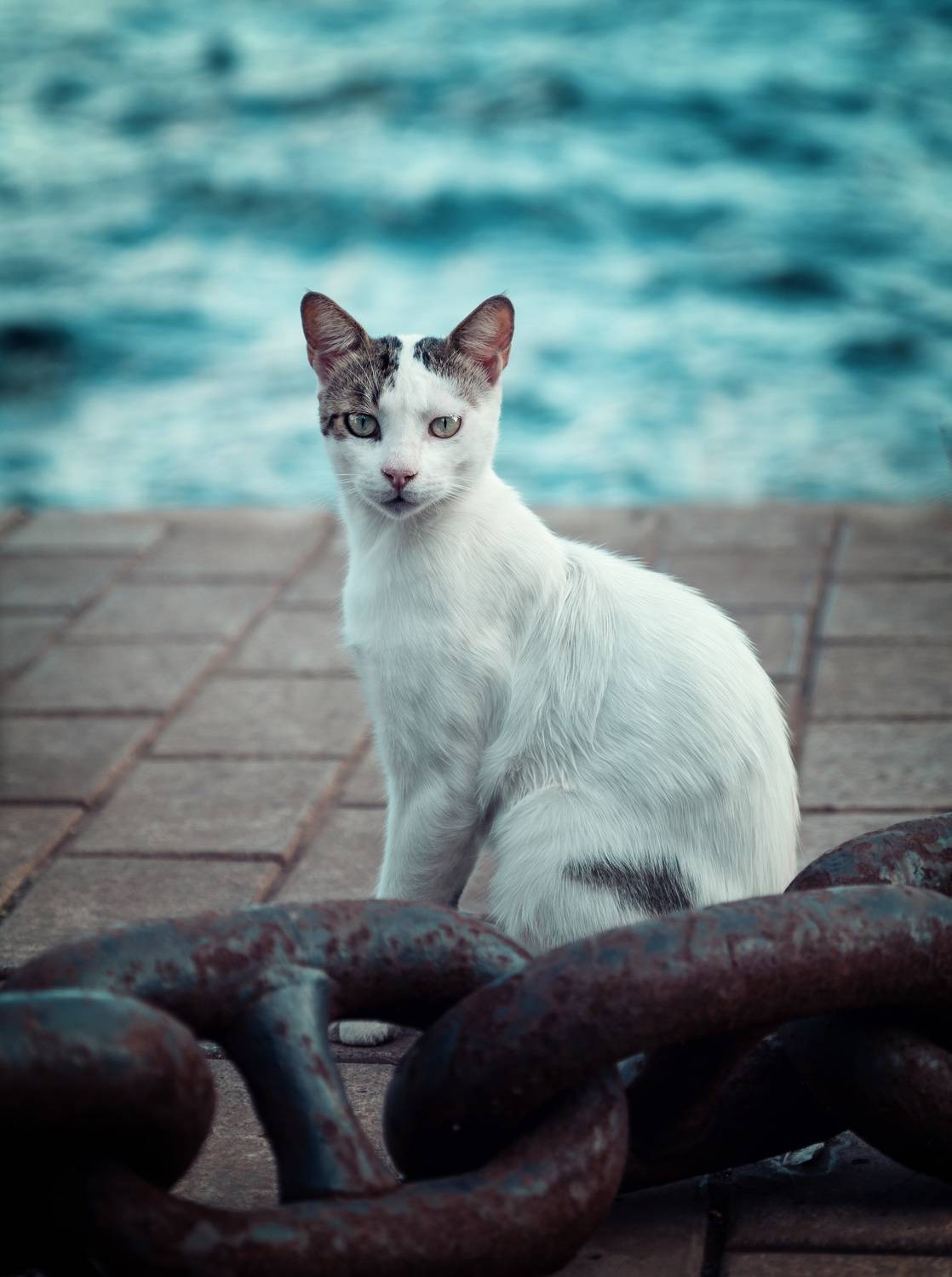 , Рагинская Ольга