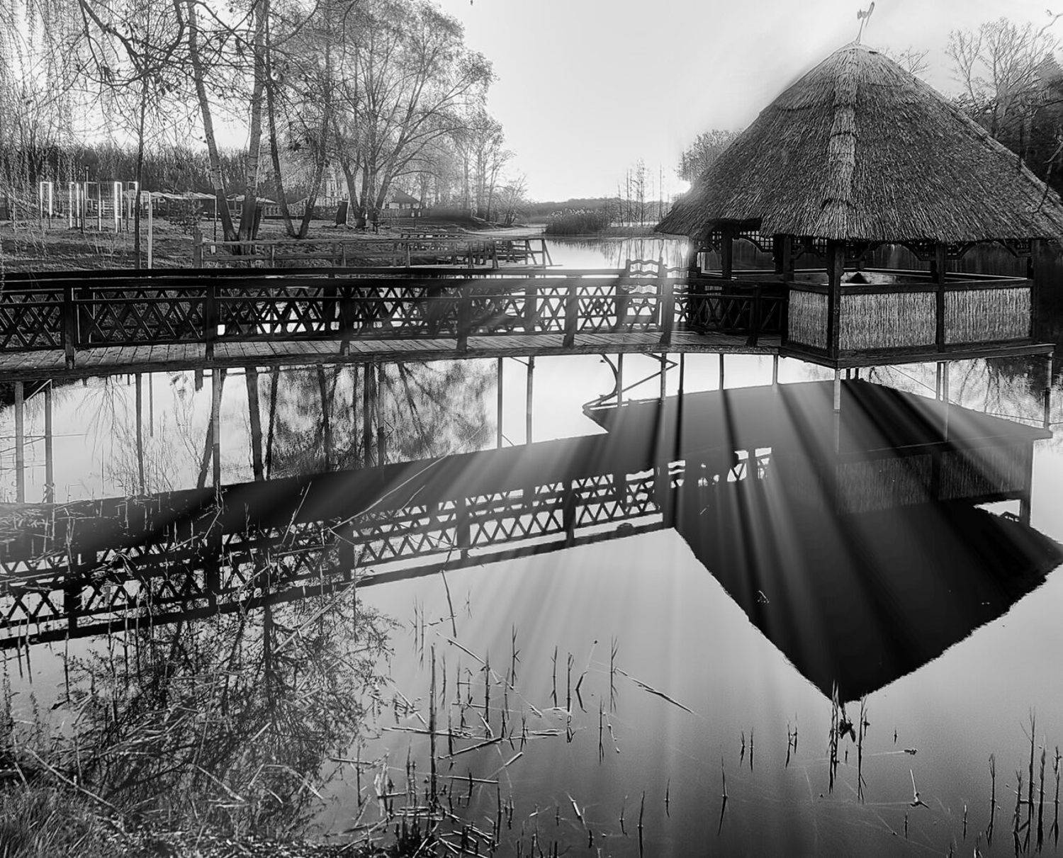 , Савоцкий Роман