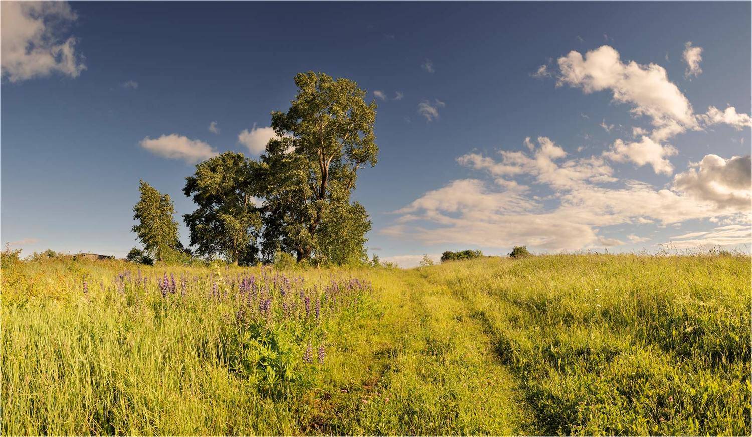 , Анатолий Гулин