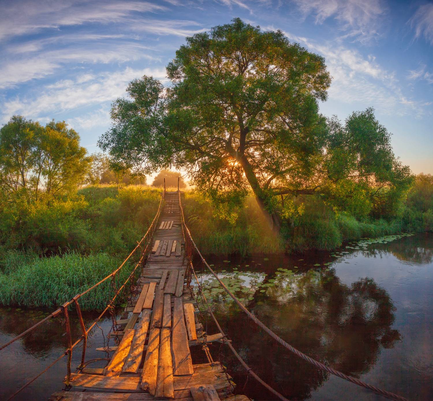 река, мостик, лето, Свистков Александр