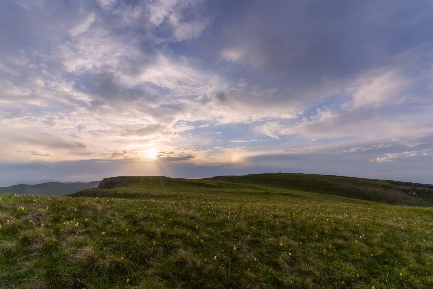 , Юлия Мальцева