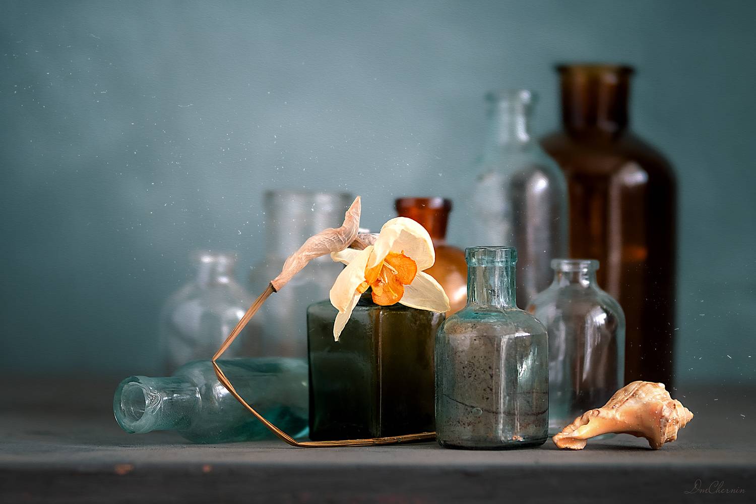 , Чернин Дмитрий