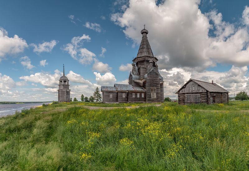 пияла, онега, церковь, трава, лютик. На Онежском берегу 2. фото превью