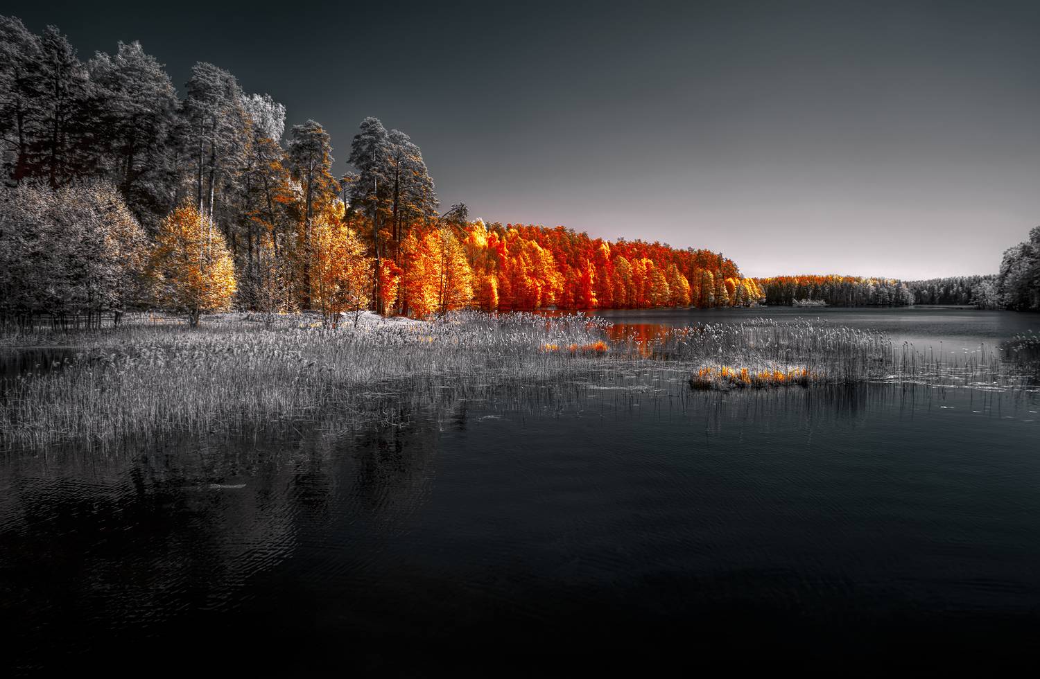 infrared,ик-фото,инфракрасное фото, инфракрасная фотография, пейзаж, весна,  Sixten (Сергей)