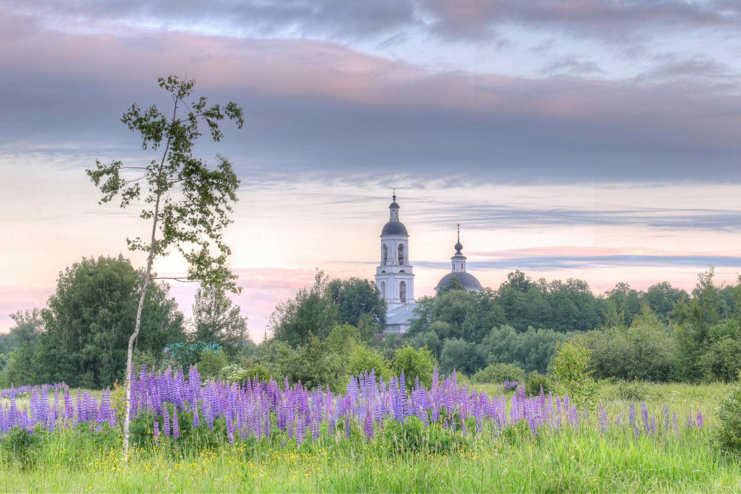 , Добролюбова Тамара