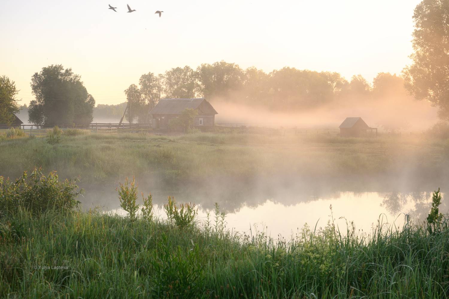 , Юлия Лаптева