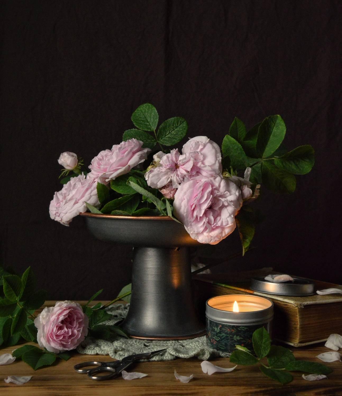 , Дина Полухина