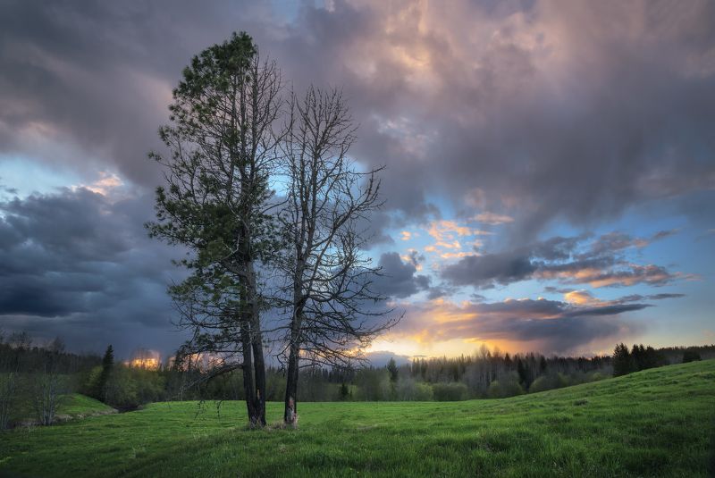 После майского дождика фото превью