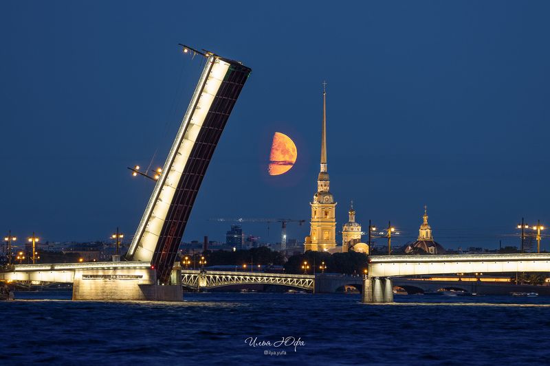 Белые ночи фото превью