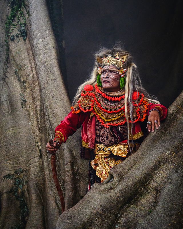 Tree spirit фото превью