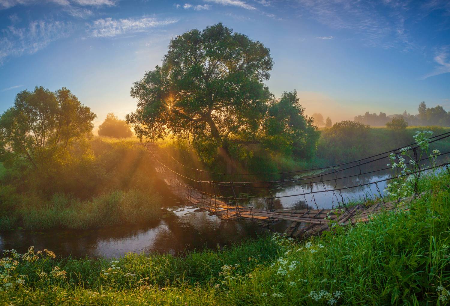 лето. река, мостик, Свистков Александр