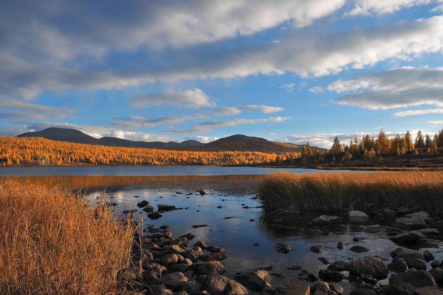 , Александр Попов