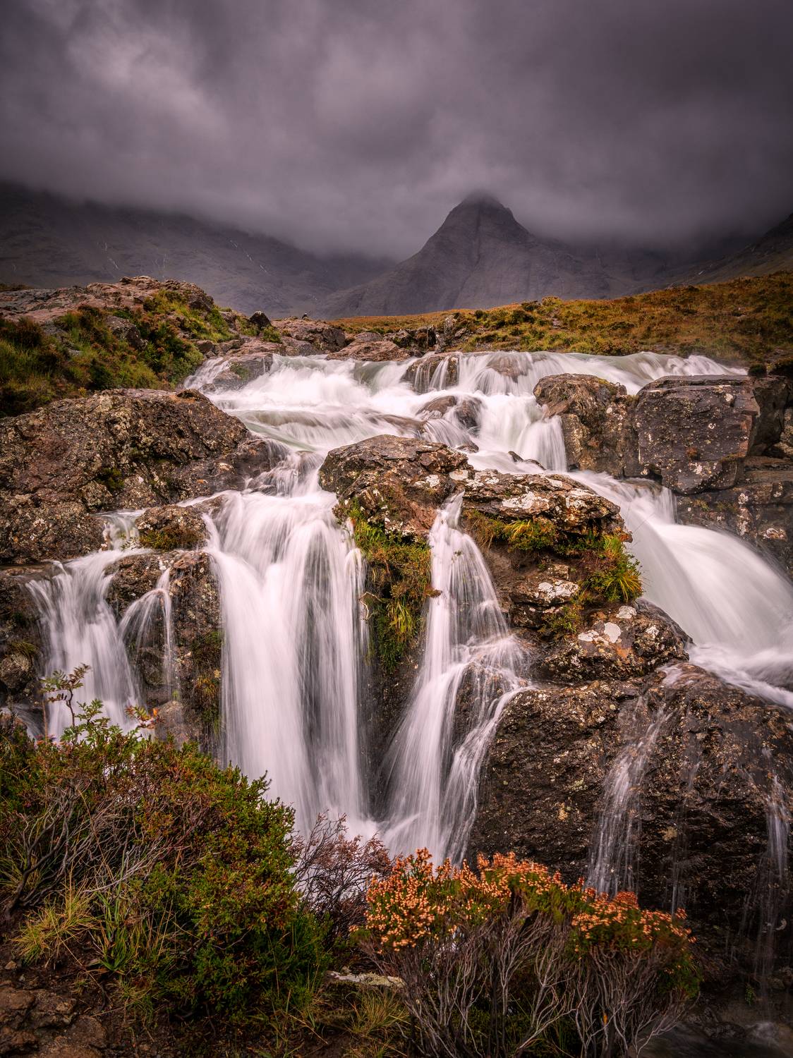 , Георгий Бычковский