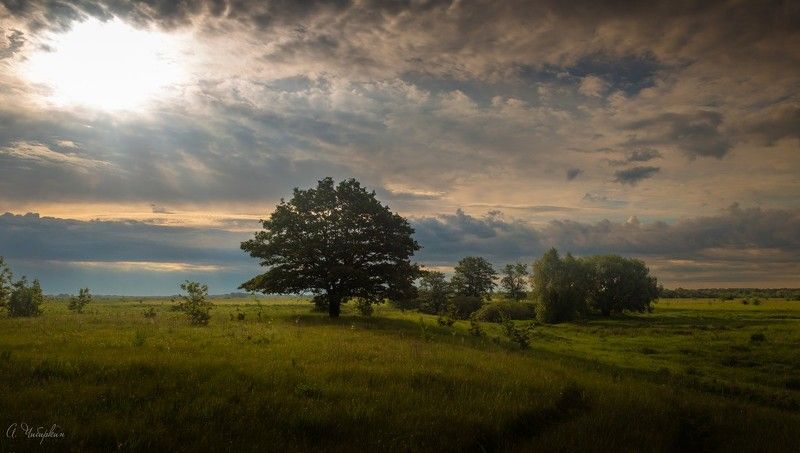 Утро красит фото превью