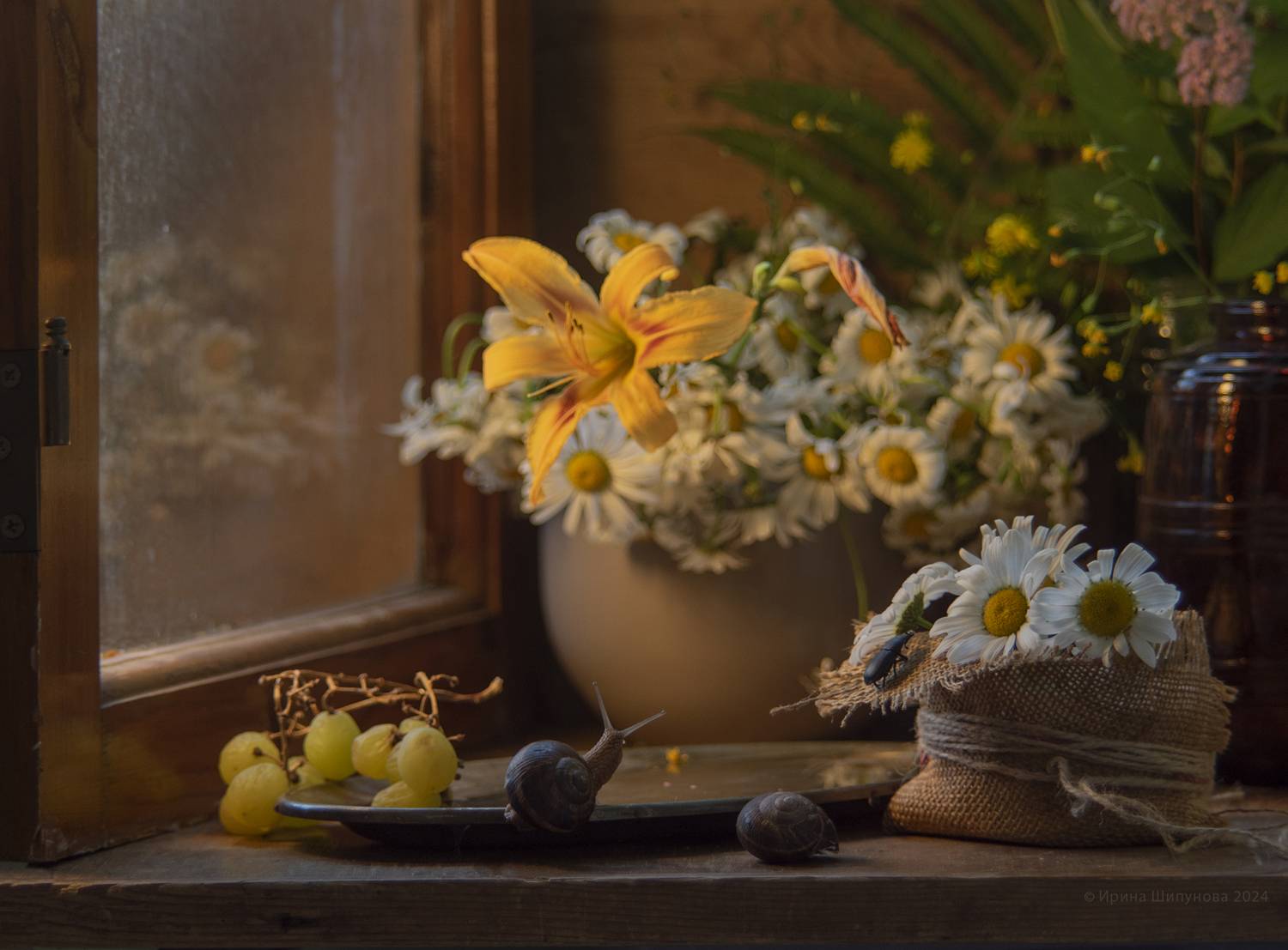 , Шипунова Ирина