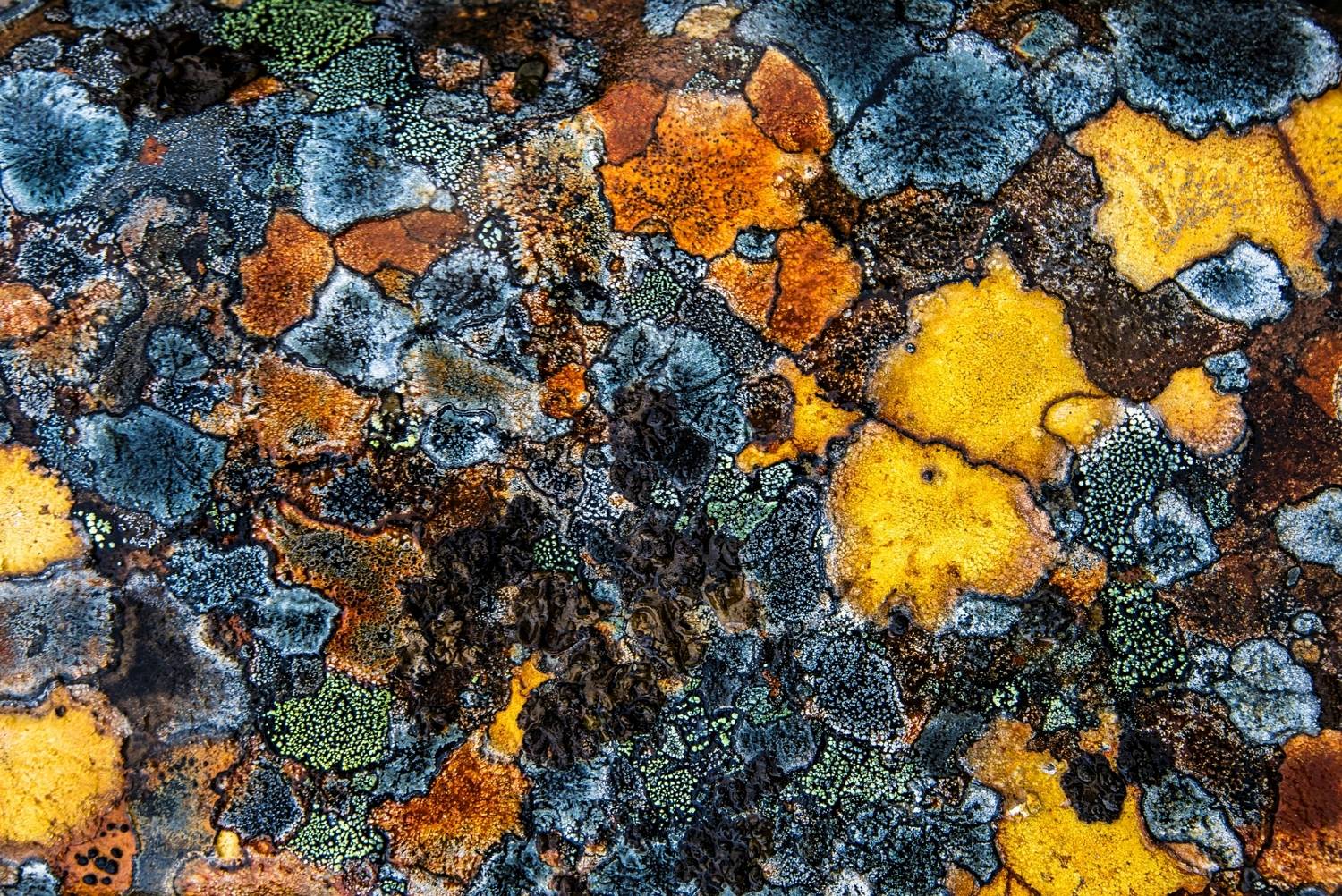 Кольский полуостров, Мурманская область, Алексей Мараховец